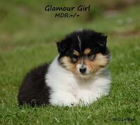 tony-glamour girl1